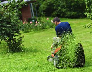 Ride-on lawn mower cutting grass. Focus on grasses in air
