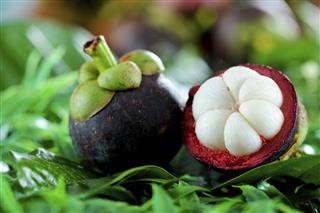 Close-up of two mangosteen fruits on bright green grass