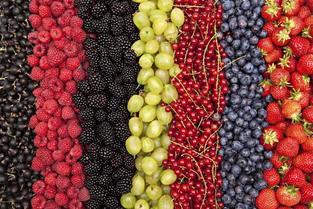 Plenty of different fresh berries in a row