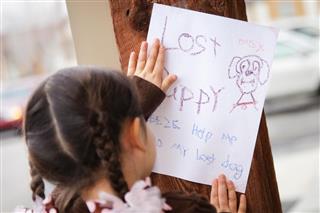Rear view of little girl posting lost puppy sign