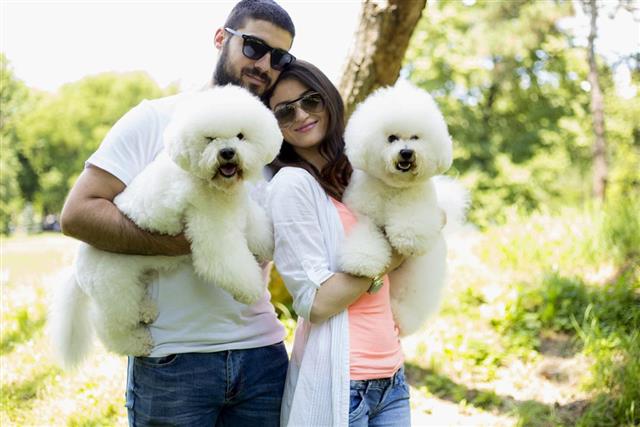 Beautiful young couple with their dogs