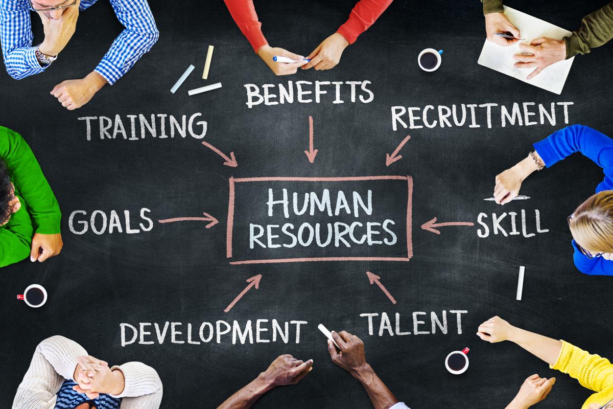 How to Start a Career in Human Resources