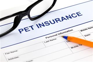 Pet insurance form