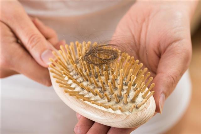 Person Hand Holding Comb With Loss Hair