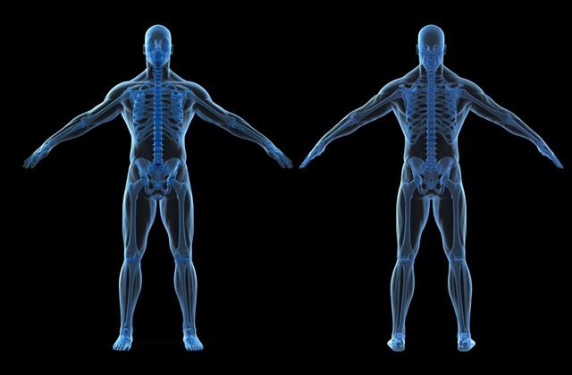 3d render of human body and skeleton