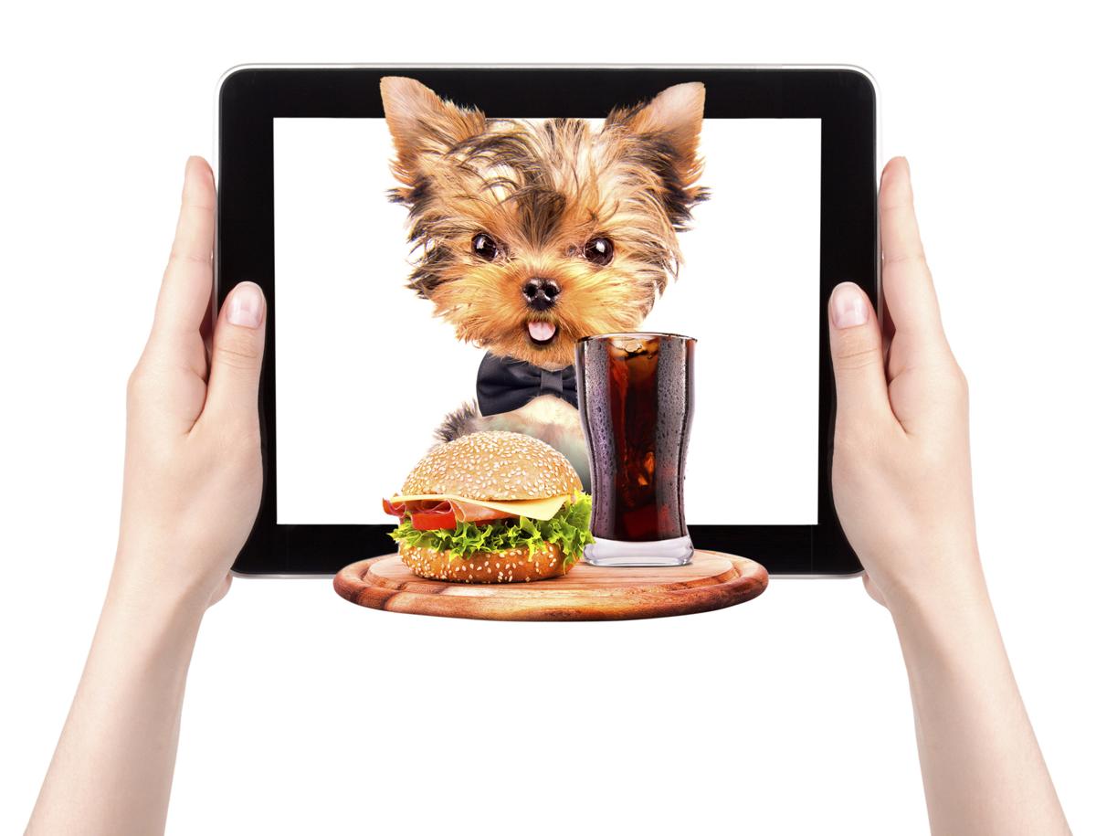 Free Virtual Pets Adopt a Free Online Virtual Pet Tech Spirited