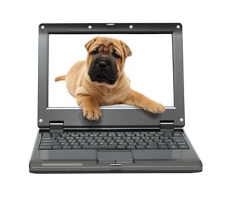 Small laptop with puppy dog