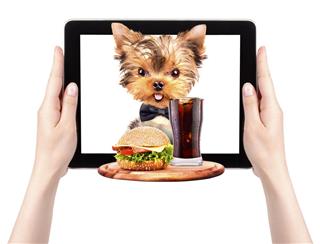Dog holding tray with food on a tablet