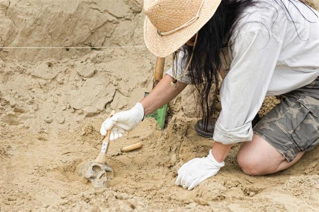 Female archaeologist making discoveries