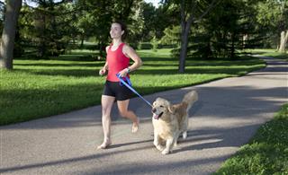 Golden Retriever and Woman Jogging on a Paved Path