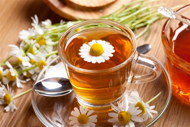 Healthy chamomile tea with blooming