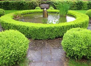 Image of formal garden with buxus hedge topiary pond fountain