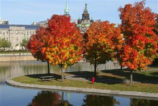 Old Montreal Bonsecours Market reflections in autumn