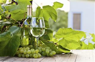 Green grape and white wine in vineyard