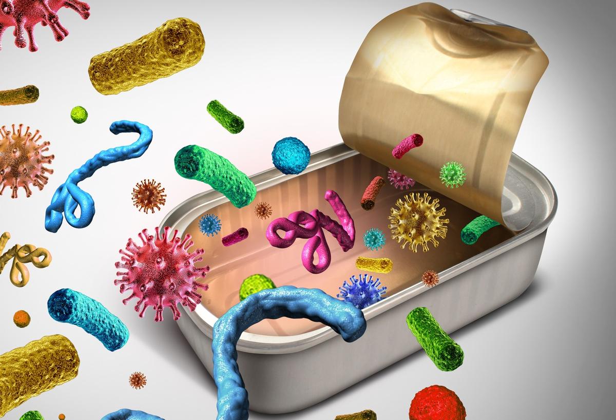 List of Bacteria