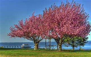 Spring on the Chesapeake Bay