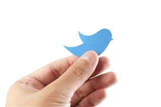 Hand holding paper bluebird on white isolated. Social media concept.