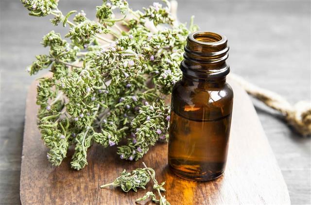 Thyme Essential Oil Bottle