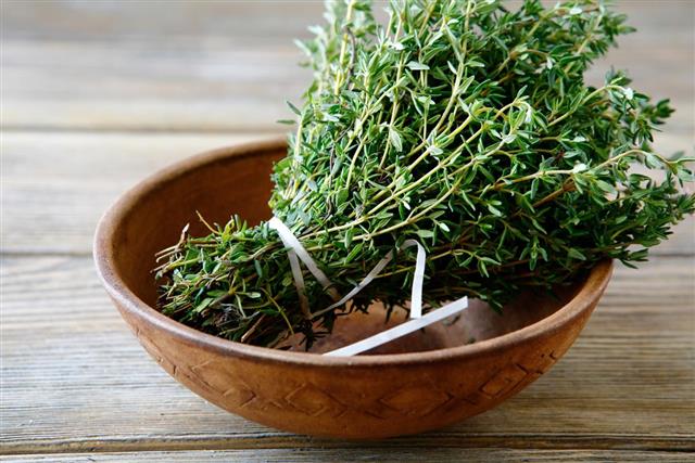 Green thyme in a bowl on boards