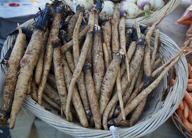 Burdock root or GoBo at the farmer's market