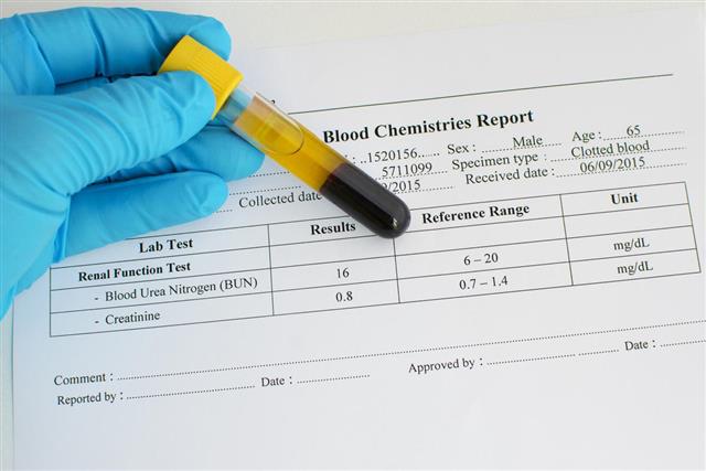 Renal function test result