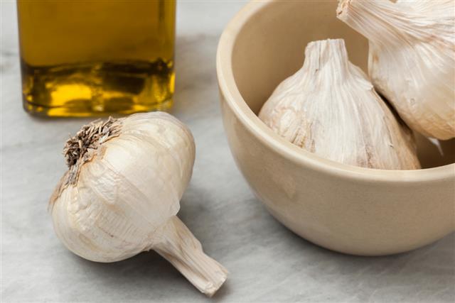Whole fresh garlic cloves and olive oil