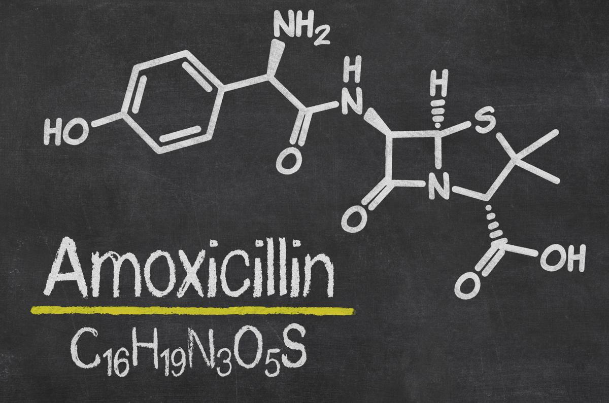 amoxil vs amoxicillin