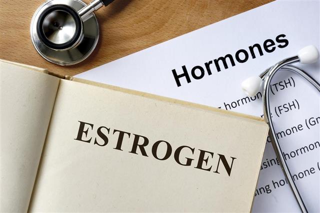 Estrogen word written on the book and hormones list