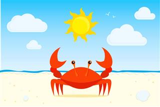 Graphic of red crab on a sunny beach
