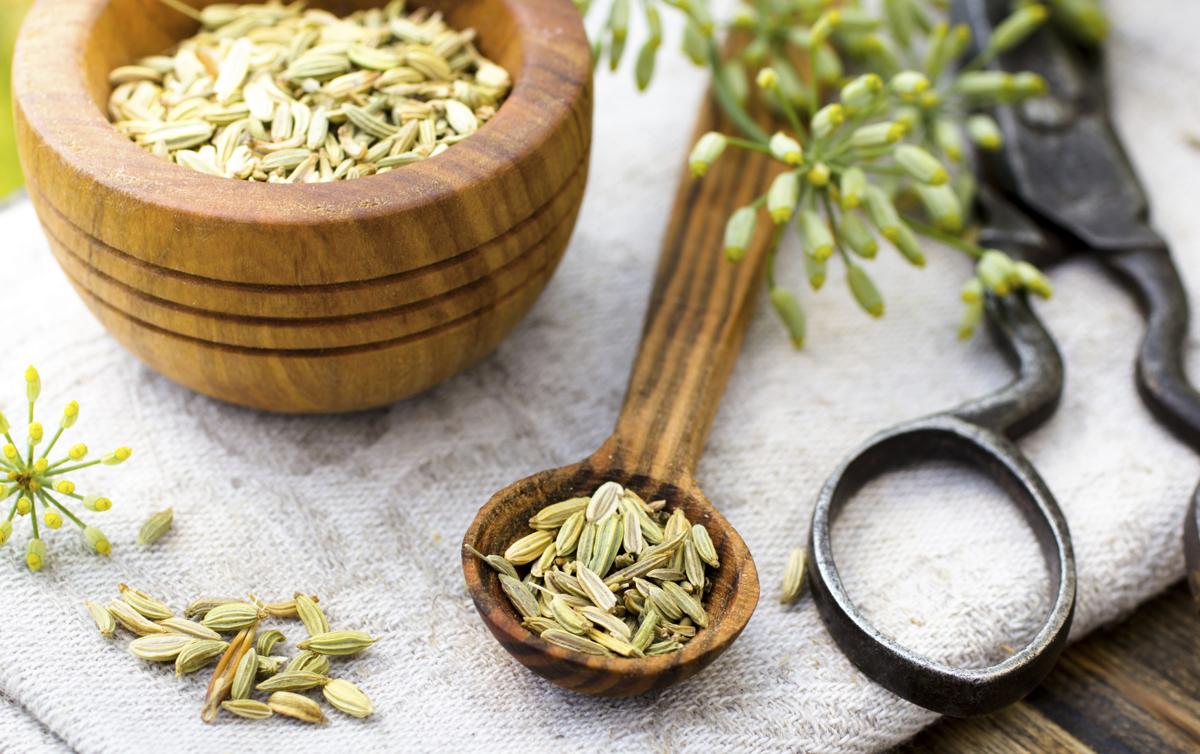Cook S Handbook Fennel Seed Substitutes To Use As Alternatives Tastessence
