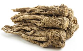 Angelica sinensis(Traditional Chinese Medicine)