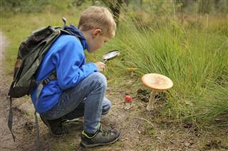 Child Holding Magnifying Glass Discovering Nature in The Forest