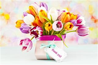 Bouquet of Tulips and Thank You Gift