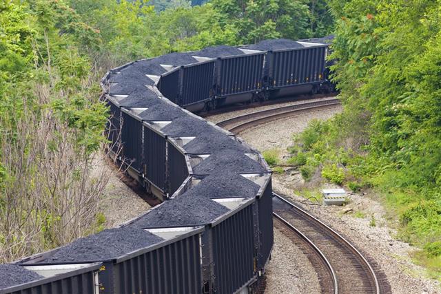 Coal Train In The Forest