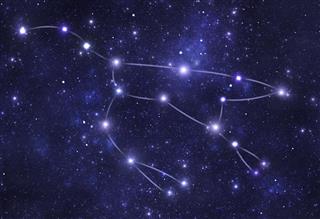 Constellations. Ursa Major (Uma)