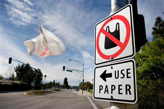 Paper Or Plastic