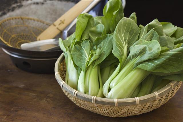 Cooking and Preparing Chinese Bok Choy Vegetable in Kitchen
