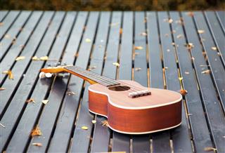 Ukulele guitar on wood table in the garden