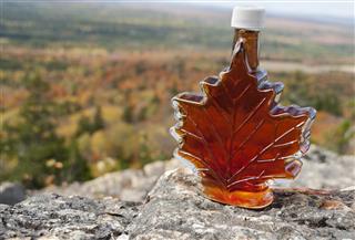 Maple Syrup with Fall Foliage
