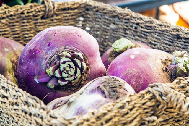 Rutabaga or Turnip at Organic Famers Market in Basket
