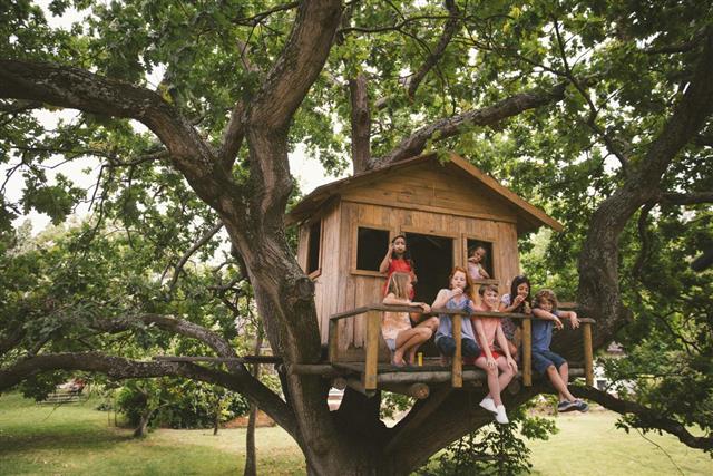 Group of children in a treehouse blowing bubbles