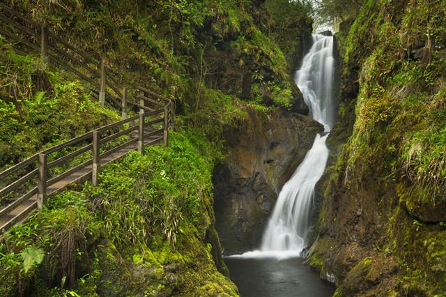 Waterfall In Glenariff Forest Park