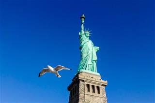 Pigeon In Front Of Statue Of Liberty