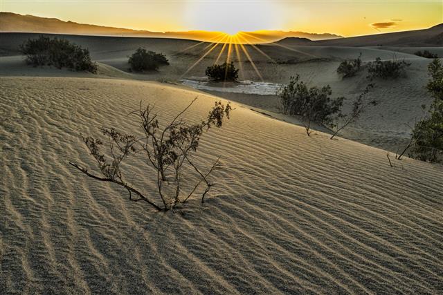 Morning Sunburst Over Death Valley