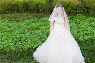The Chinese Bride Standing In Field