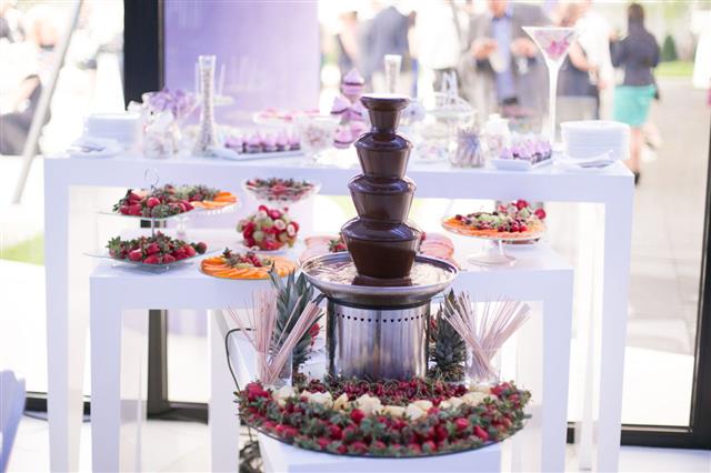 Chocolate Fountain And Fruits