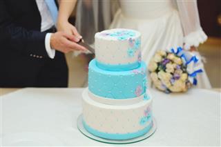 Bride And Groom Cutting Wedding Cake