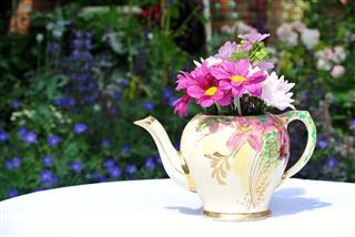Teapot Filled With Flowers