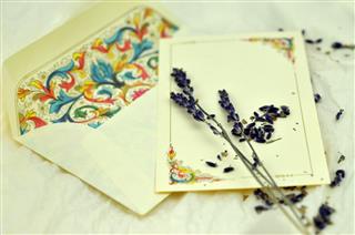 Lavender On Love Letter