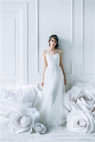 Studio Shot Of Young Beautiful Bride